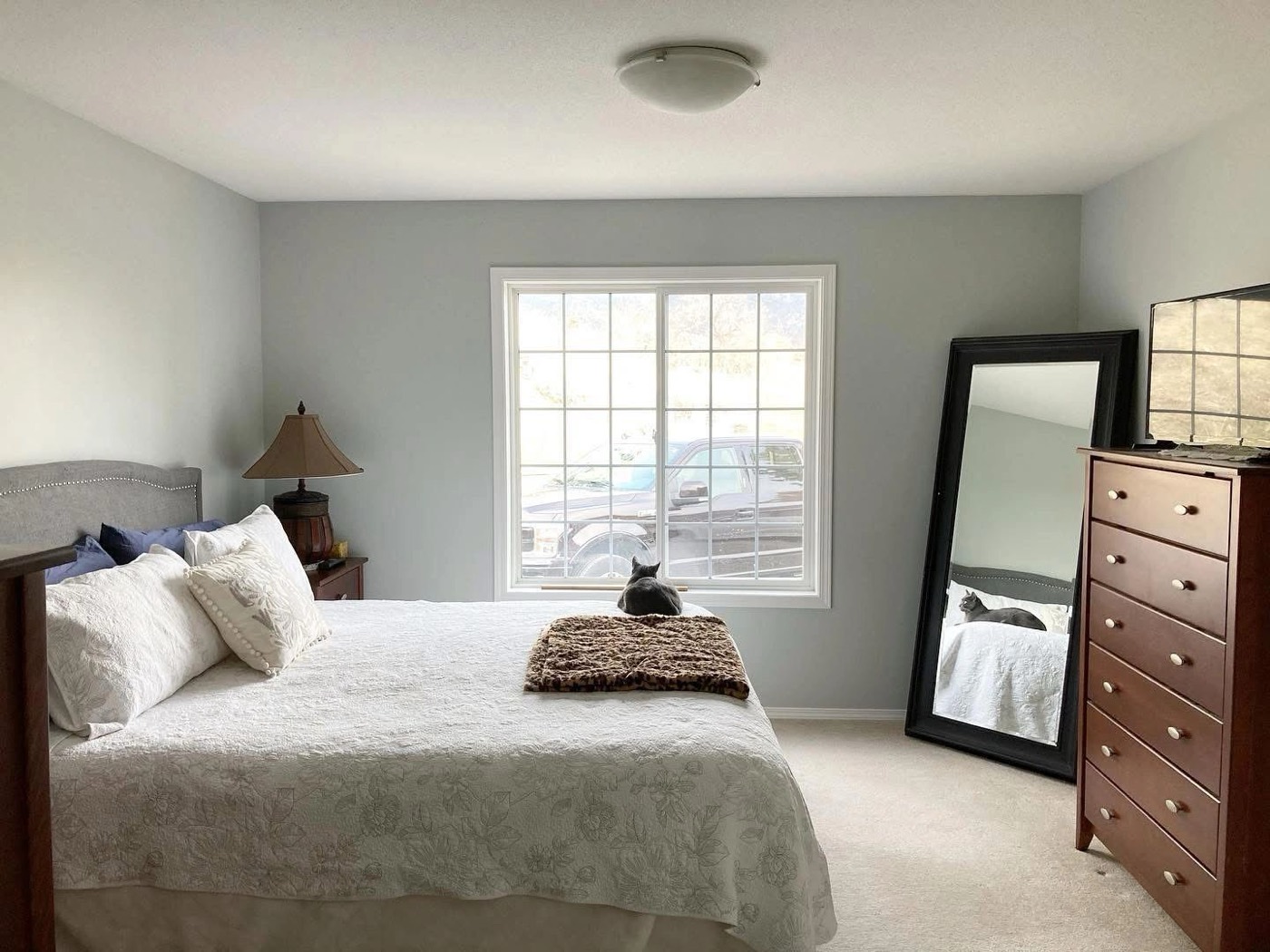 Bedroom interior with freshly painted soft grey walls and white ceiling